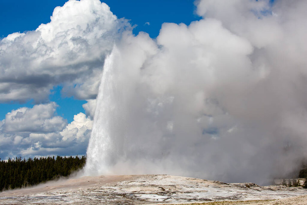 Stary wierny gejzer wybuchający wiosną w Parku Narodowym Yellowstone, poziomy - Zdjęcie, obraz