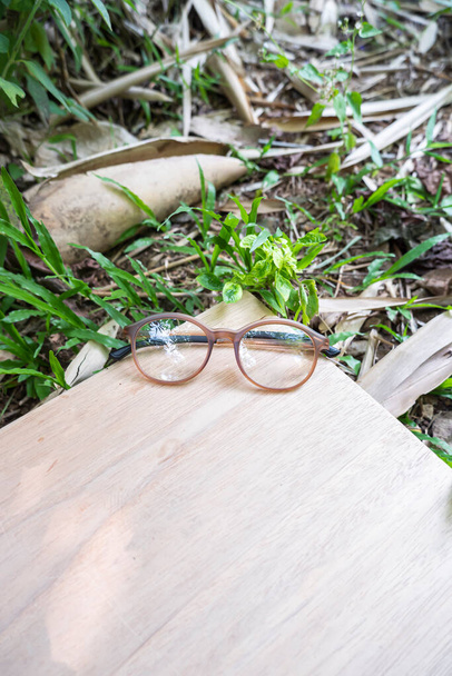 hnědé kulaté brýle na dřevě. kulaté brýle na fotografii shora s přírodní krajinou v pozadí - Fotografie, Obrázek