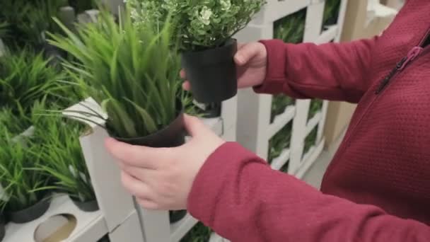 Chica compra artificial, plantas verdes con flores blancas en macetas. Las manos de cerca - Imágenes, Vídeo