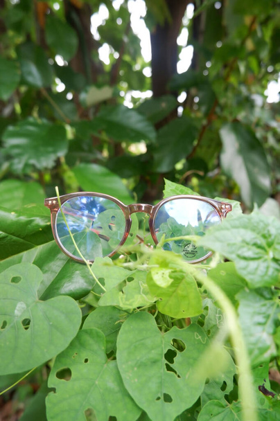 transparent brown round glasses on the weed - Photo, Image