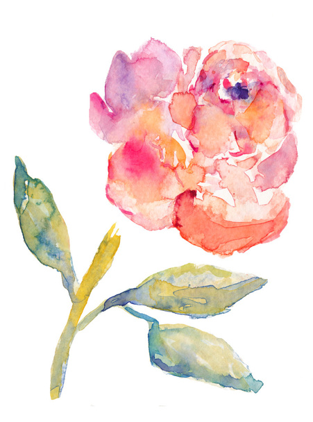 Watercolor Peony Flower - Foto, Imagem