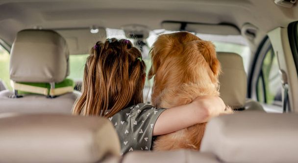 Preteen girl with golden retriever dog in the car - Фото, зображення