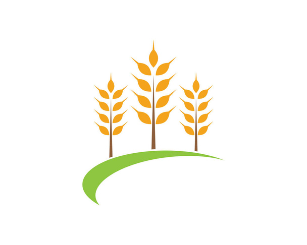 Maatalous vehnä logo malli vektori kuvake suunnittelu - Vektori, kuva