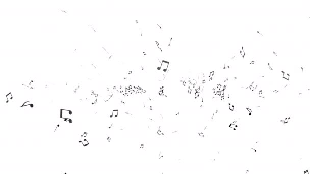 Many notes dancing in a white space. Represents overflowing music.  - Footage, Video