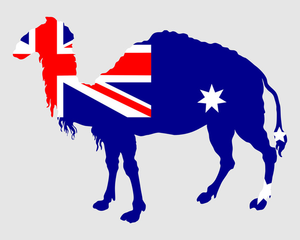 Vlajka Austrálie s velbloud - Vektor, obrázek