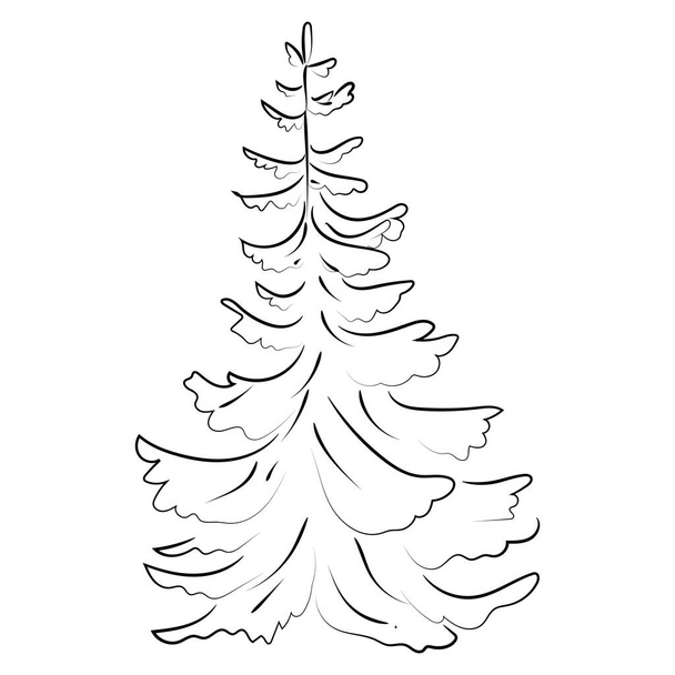 Elegáns vázlat rajz fenyőfa, vektor illusztráció - Vektor, kép