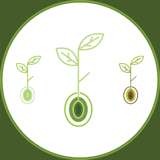 Planting seed sprout in ground. Symbol grow sapling. Green fresh plant sprout with roots vector illustration. - Vector, Image