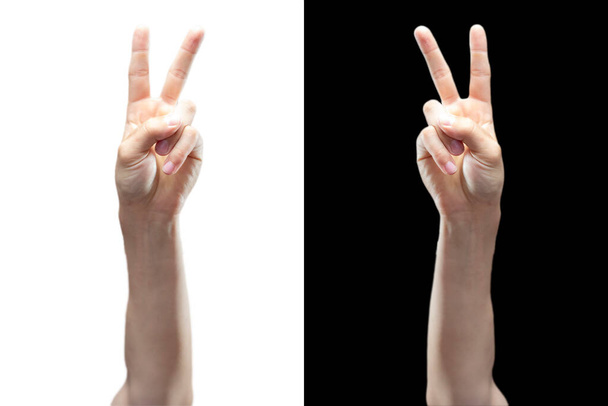 hand show peace sign isolated black and white background b - Photo, Image