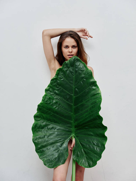 woman with naked body covers herself with green leaf - Foto, imagen