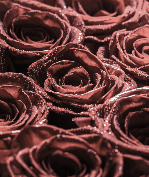 Collage de rosas rojas. Ramo de rosas frescas, flores de fondo brillante. Un primer plano macro de una rosa roja. Floristería - Foto, Imagen