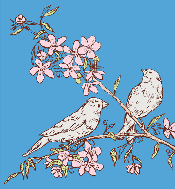 Vector drawing of two nightingales sitting on blossom cherry branch on spring day - Vektor, Bild