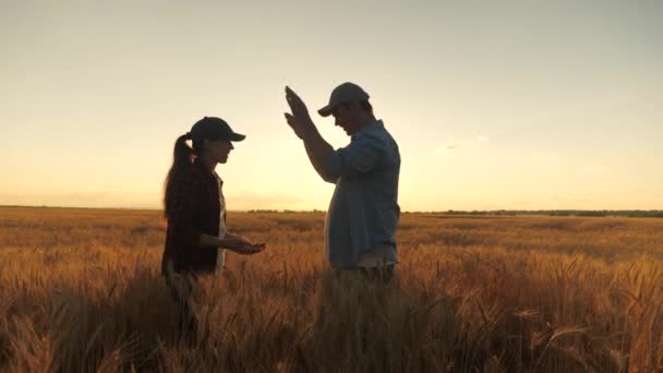 Szczęśliwi biznesmeni, rolnicy, mężczyźni i kobiety, witają się dłońmi na polu pszenicy. Zgadzam się. Rolnicy i agronomowie rozmawiają, ciesząc się dobrymi zbiorami zboża na polu pszenicy w słońcu. - Materiał filmowy, wideo
