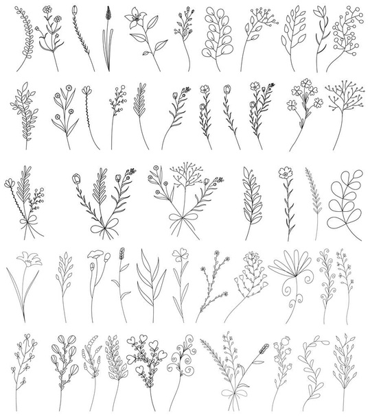 vector, isolated, sketch plants, grass, flowers hand-drawn, collection, set - ベクター画像