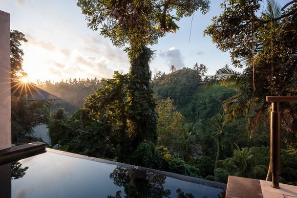 Wschód słońca w dżungli w Ubud, Bali, Indoniezja - Zdjęcie, obraz
