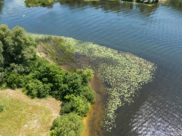 Banco do rio no verão. Vista aérea de drones. - Foto, Imagem