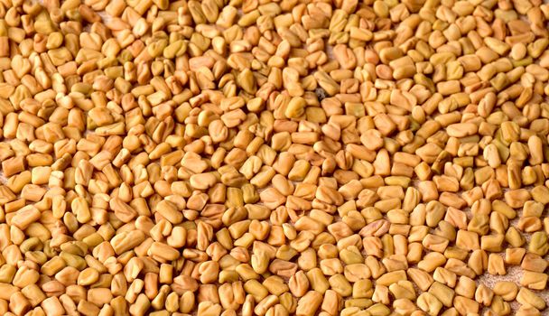 Homemade organic fenugreek seeds pattern, ingredient in Indian cuisine. - Foto, immagini