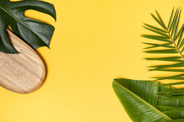 Top view tropical leaves on vibrant background. Summer flat lay composition. - Photo, Image
