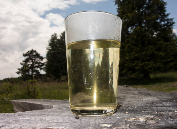 lasillinen shandyä tai olutta sitruunalla ammuttu tai radler - Valokuva, kuva