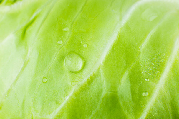 Green cabbage texture background. Close up. Macro photo. - Photo, Image
