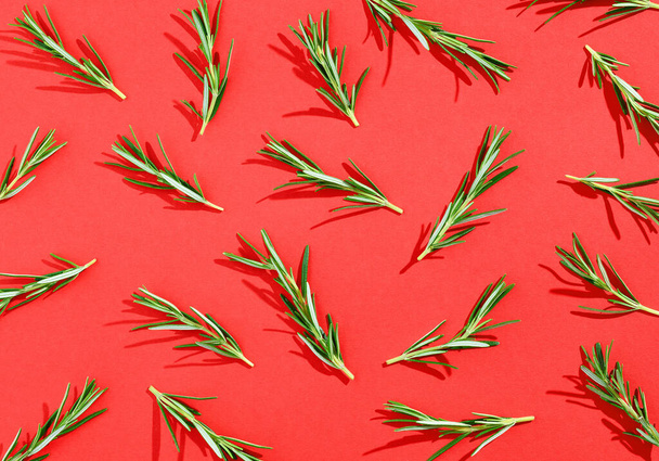 Colorful rosemary pattern on red background, from above, hard shadow - Foto, immagini
