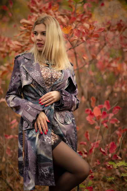 kaunis tyttö syksyllä kaunis lehtien metsässä tunnelissa - Valokuva, kuva