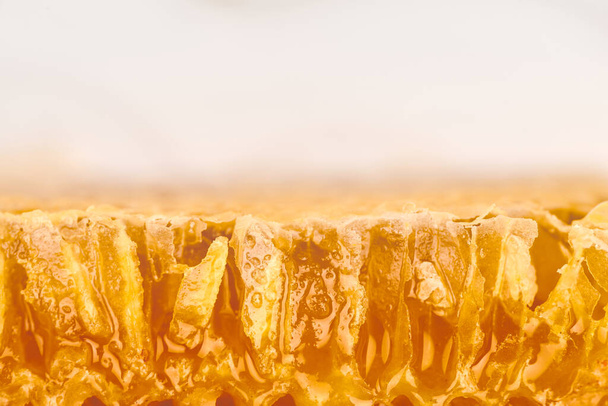 Honeycomb macro close up texture, copy space white background. Delicious lime honey pattern. Love for sweets. - Photo, Image