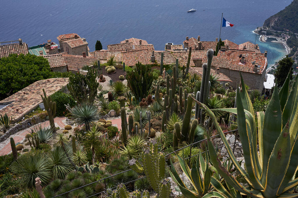 Eze, France - June 17, 2021 - the Exotic, Subtropical and Mediterranean garden in the sunny spring afternoon                                 - Фото, изображение