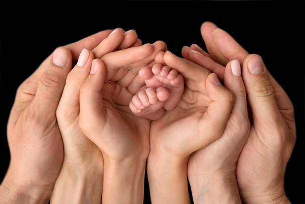 Mani di madre, padre e figlio che tengono i piedi del neonato. Carino ritratto di famiglia con neonato. - Foto, immagini