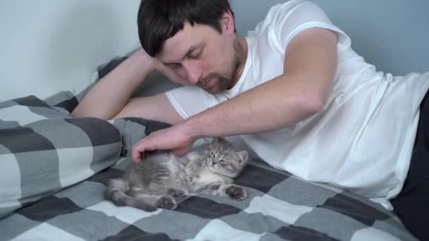 Kaukázusi srác ölelkezik szürke skót heteró macskával az ágyban. Férfi macska szerető játszik kismacska feküdt az ágyban. Barátságos kis háziállat sütkérezés a tulajjal. Tabby cica férfival otthon - Felvétel, videó