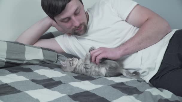 Parhaat ystävät nokosilla. Mies makaa sängyssä ja leikkii brittiläisen kissanpennun kanssa. Omistajan ja kotieläimenä pidettävän kissan lemmikin suhde. Suloinen karvainen kissanpentu Scottish Straight rotu viettää aikaa miehen kanssa - Materiaali, video