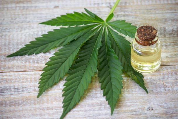 Cannabiskraut und -blätter zur Behandlung von Brühe, Tinktur, Extrakt, Öl. Selektiver Fokus. - Foto, Bild
