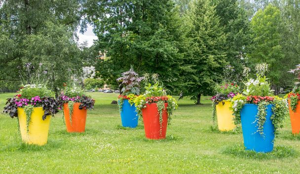 Grands pots de fleurs ornant le parc de la ville. Aménagement urbain. - Photo, image