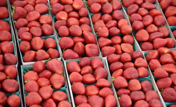 Καλάθια νωπών ώριμων βιολογικών φραουλών σε υπαίθρια αγορά - Φωτογραφία, εικόνα