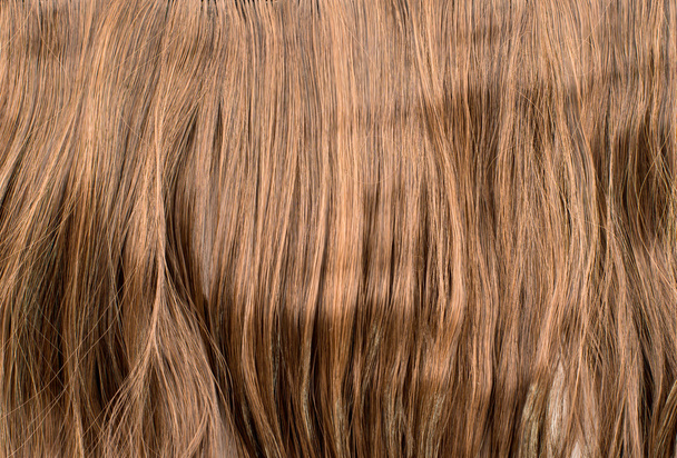 hosszú haj - Fotó, kép