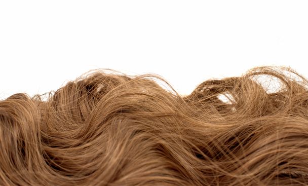 μακριά μαλλιά - Φωτογραφία, εικόνα