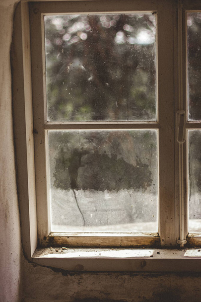 Старое белое деревянное клетчатое окно с видом наружу. - Фото, изображение