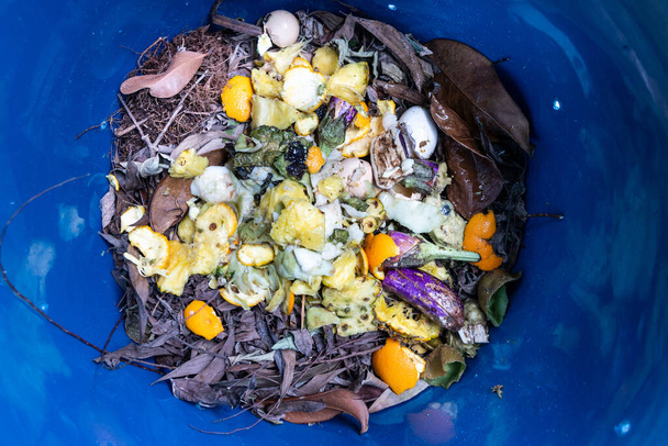 Mieszanina materiałów zielonych i brązowych w pojemniku na kompost - Zdjęcie, obraz