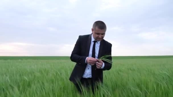 Joven agricultor, dueño de un negocio inspecciona un campo de trigo. - Metraje, vídeo