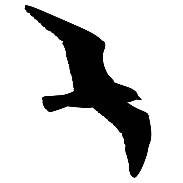 vogel vliegt zwart silhouet op witte achtergrond - Vector, afbeelding