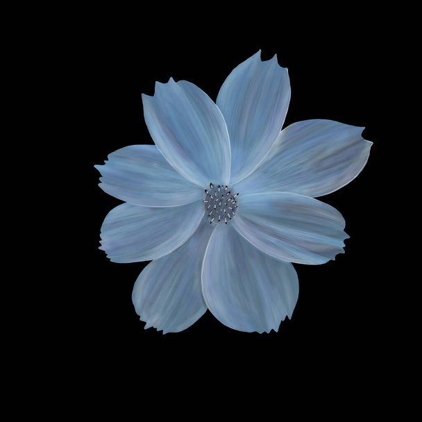 Art illustration of a beautiful flower in blue shades on a black background - Foto, imagen