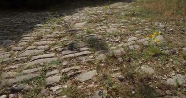 La carretera romana Ambrussum, Villetelle, Occitanie, Francia. - Metraje, vídeo