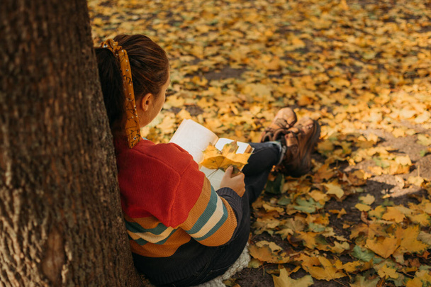 Young plus size vrouw lezen boek in herfst park in zonlicht. Lichaamspositief, diversiteit, Lichaamsneutraliteit, lichaamspositiviteit, resoluties zelfverbetering - Foto, afbeelding