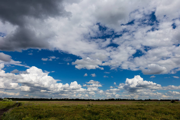 Blue sky with beautiful cumulus clouds over a wild field. Sky pattern. - 写真・画像