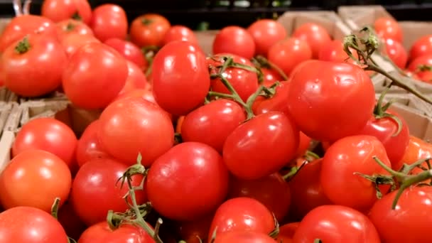 Tomaatit supermarketissa, hidasliikkeinen kamera - Materiaali, video