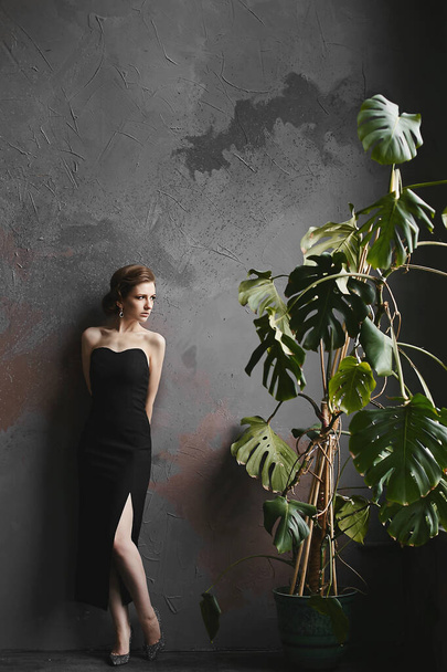 Young woman with bright evening makeup in a black dress posing near the huge plant. A model girl with an elegant hairdo wearing a trendy dress posing in the dark interior - Fotó, kép