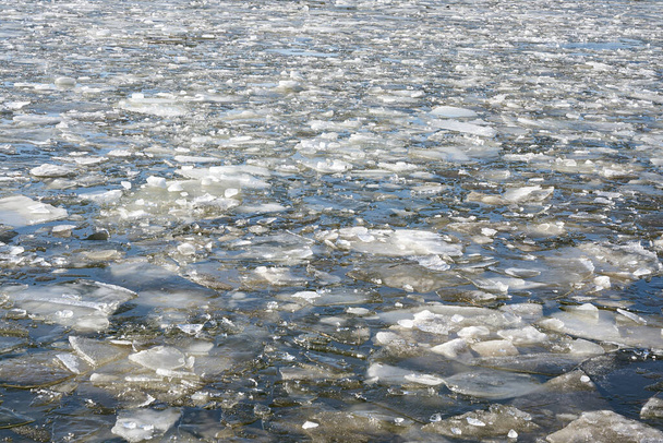  Eisschollen auf der Elbe bei Magdeburg an einem kalten Wintertag                                - Foto, Bild