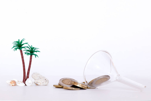 Palm tree with seashells and funnel with money over it. Saving money for summer holiday - Foto, imagen