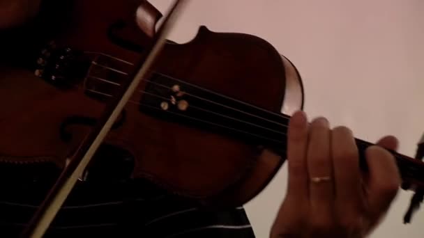 Un uomo che suona il violino in una stanza. Primo piano.  - Filmati, video