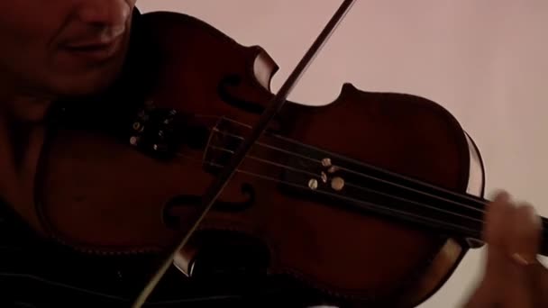 Man playing Violin in a Room. Close Up.  - Footage, Video