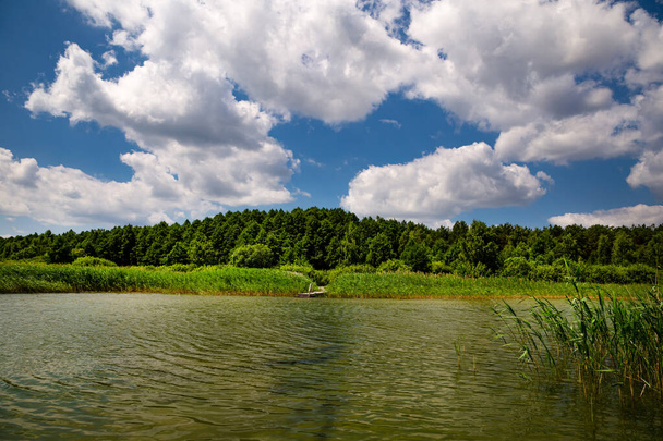 Svitiaz Lake, Shatskin kansallispuisto, Volynin alue, Ukraina. Shatskyi Lakesin ryhmä. Ranta järven rannalla. - Valokuva, kuva